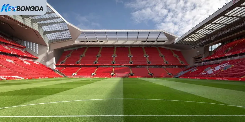 Thông tin về cấu trúc của SVĐ top 7 của nước Anh