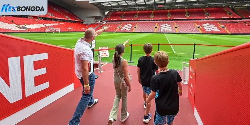 Những trải nghiệm tham quan mới mẻ khi ghé đến sân vận động