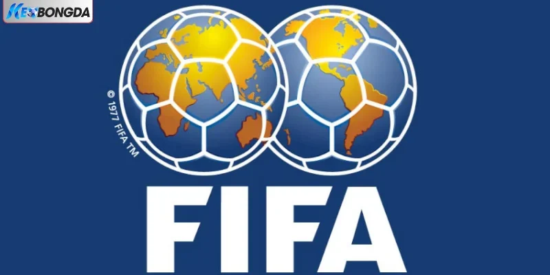 Bảng thứ hạng FIFA được cập nhật liên tục Bảng thứ hạng FIFA được cập nhật liên tục