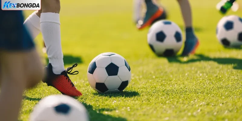 Cược bàn thắng phù hợp với tân binh Cược bàn thắng phù hợp với tân binh