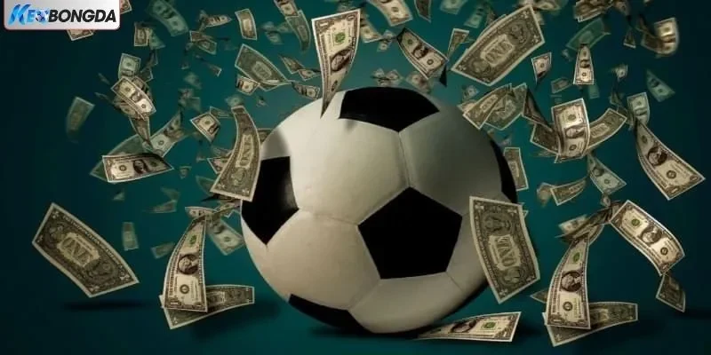 Cá cược bóng đá an toàn với chứng chỉ hoạt động rõ ràng Cá cược bóng đá an toàn với chứng chỉ hoạt động rõ ràng