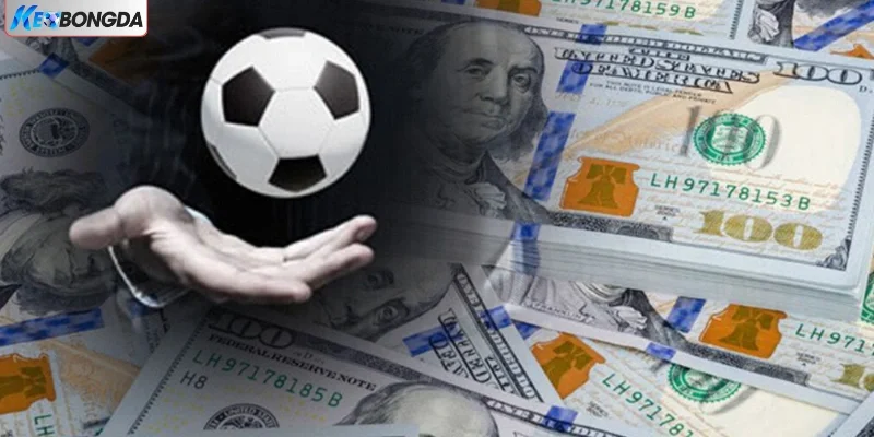 Lưu ý khi người dùng cược kèo handicap ¼