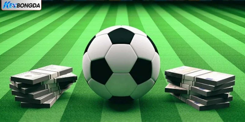 Chọn thời điểm đặt kèo cá cược bóng đá chấp 0.25 hợp lý