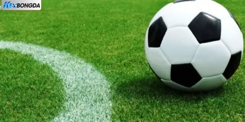 Bí kíp chơi kèo 0.5 theo bản năng