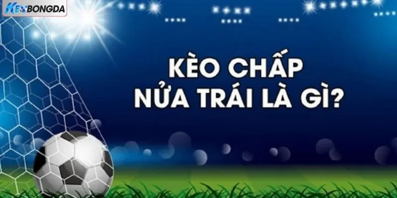 Khám Phá Kèo Cá Cược Bóng Đá Chấp 0.5 Và Kinh Nghiệm Chơi