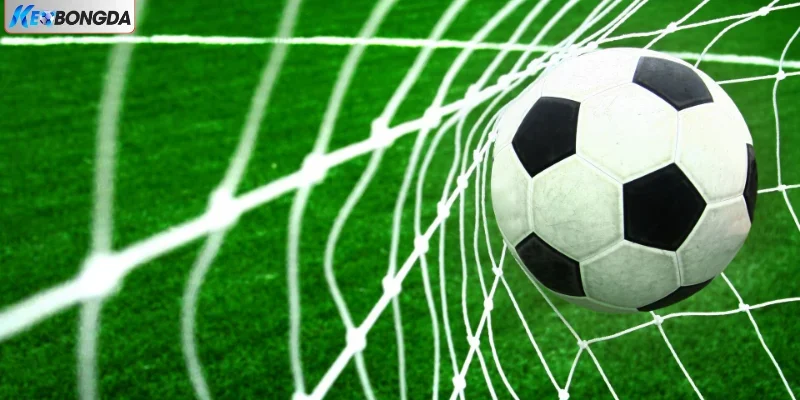 Hướng Dẫn Đọc Kèo Cá Cược Bóng Đá Châu Âu Cùng Cao Thủ 2025