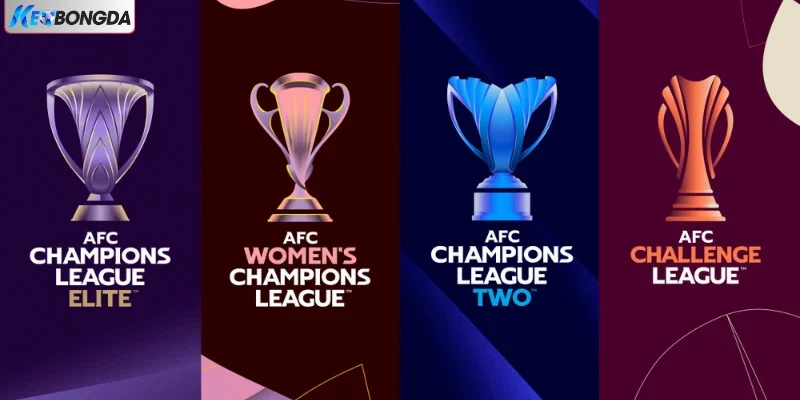 Cung cấp kết quả nhiều giải đấu thể thao vua Cung cấp kết quả nhiều giải đấu thể thao vua