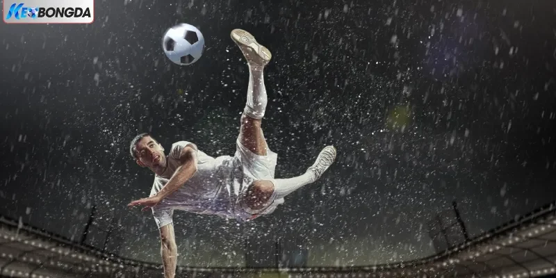 Kèo cược vô cùng phong phú Kèo cược vô cùng phong phú