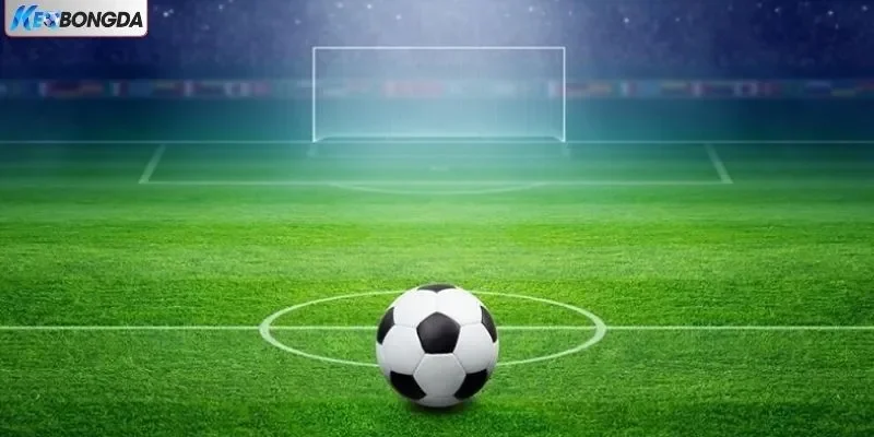 Bóng rổ đa dạng tỷ lệ kèo thú vị Bóng rổ đa dạng tỷ lệ kèo thú vị