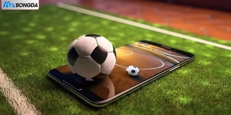 Mibet sở hữu giao diện cá cược chất lượng Mibet sở hữu giao diện cá cược chất lượng