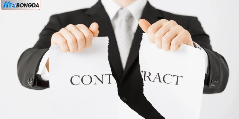 Đôi nét về điều khoản miễn trừ trách nhiệm keobongda