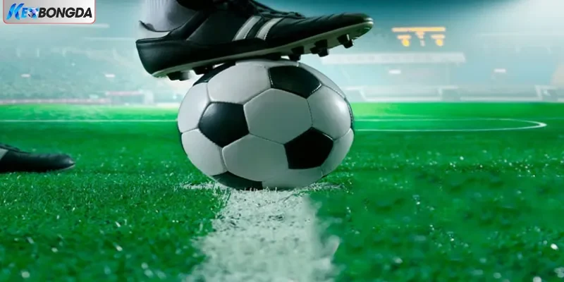 Đa dạng loại hình thể thao Đa dạng loại hình thể thao