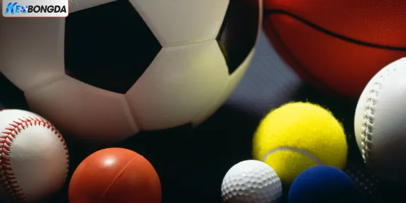 Sơ lược về nhà cái đỉnh cao Sơ lược về nhà cái đỉnh cao