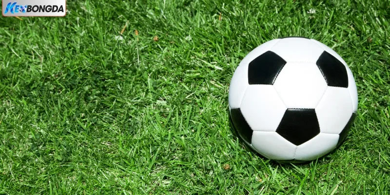 Net88 - Sân Chơi Giải Trí Uy Tín, Xanh Chín Nhất Năm 2025