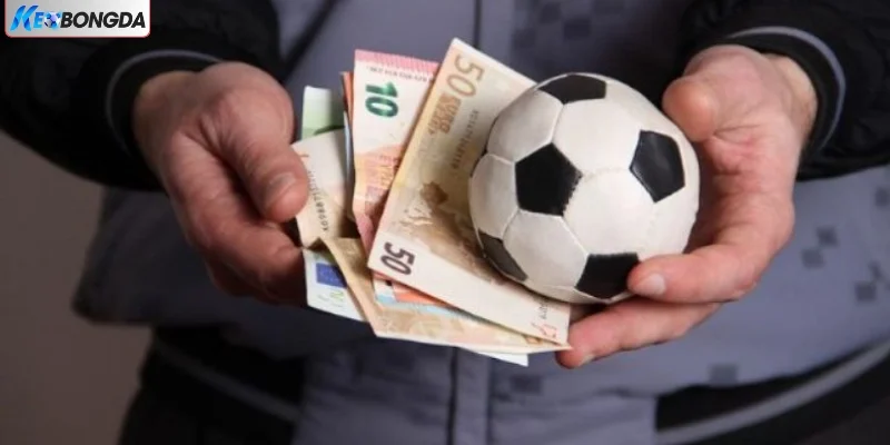 Mục tiêu CEO Trần Anh Tân hướng đến