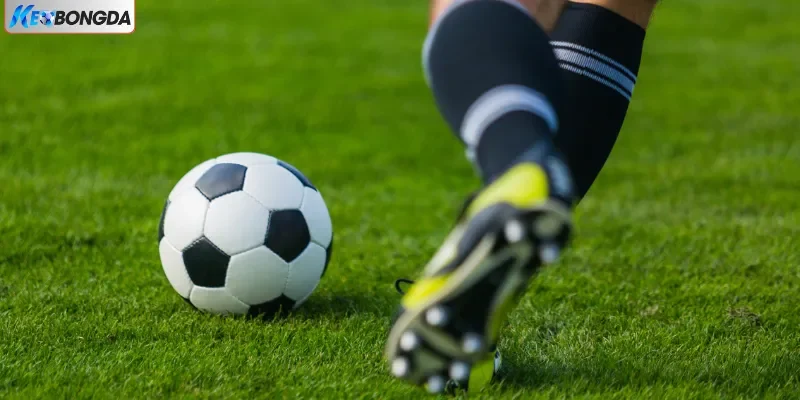 Quy trình cá cược bóng đá nhanh chóng Quy trình cá cược bóng đá nhanh chóng