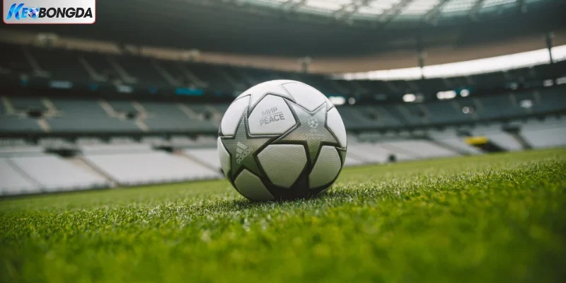 Đôi nét về thể thao vua Đôi nét về thể thao vua