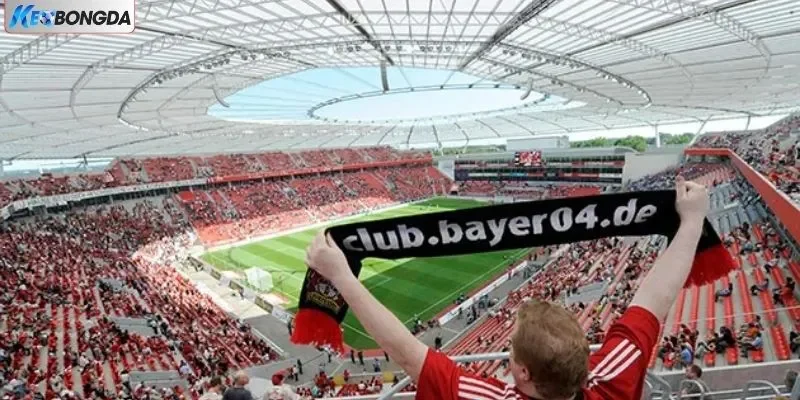 Sân Vận Động BayArena - Trái Tim Của Bayer Leverkusen