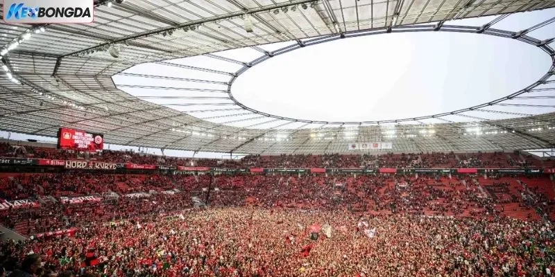 Điểm danh sự kiện rất đáng chú ý tại sân Ulrich - Haberland-Stadion cũ