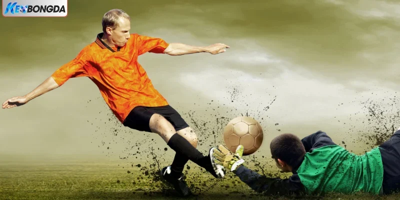 Minh họa về kèo dụ Minh họa về kèo dụ