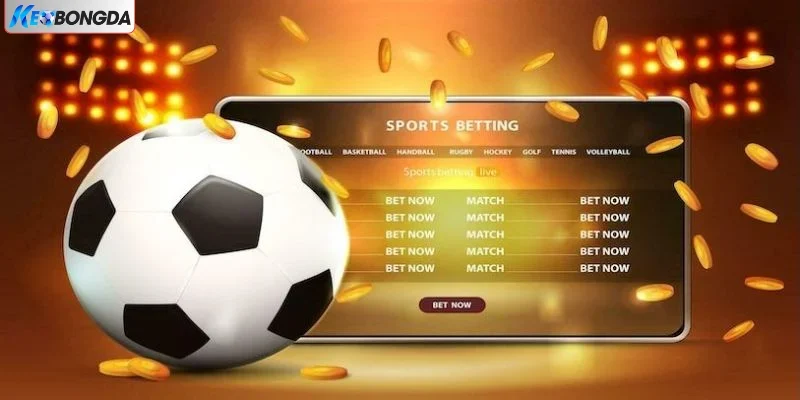 Nhà cái cung cấp odds thưởng cao bất thường Nhà cái cung cấp odds thưởng cao bất thường