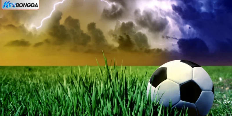 Kinh nghiệm phòng tránh kèo dụ Kinh nghiệm phòng tránh kèo dụ