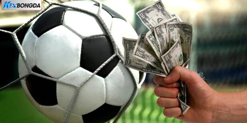 Chia Sẻ 4 Cách Quản Lý Cảm Xúc Khi Chơi Kèo Bóng Đá