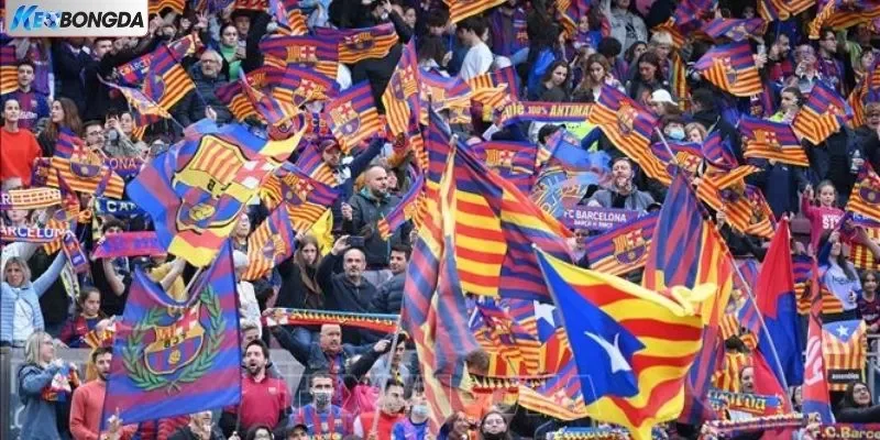 Tổng hợp các đặc điểm xuất hiện của một fan hâm mộ Barcelona chân chính