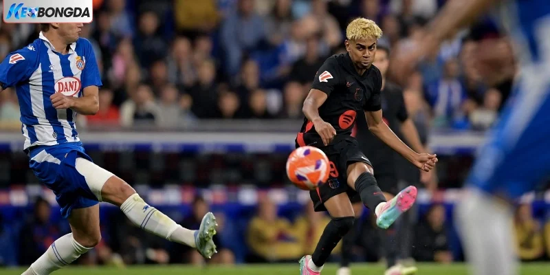 Lưu ý cho người mới dự đoán kèo qua phong độ Lưu ý cho người mới dự đoán kèo qua phong độ