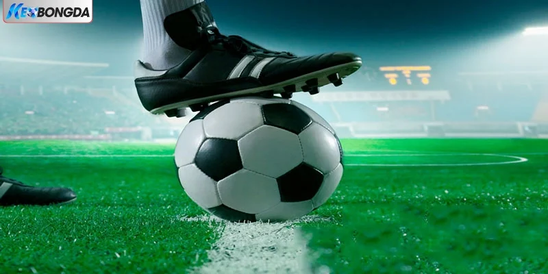 Dự Đoán Kèo Bóng Đá Theo Phong Độ Đội Bóng Hay Nhất 2025