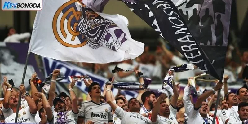 Madridistas - Nguồn Gốc Xuất Hiện Tên Gọi Fan Real Madrid