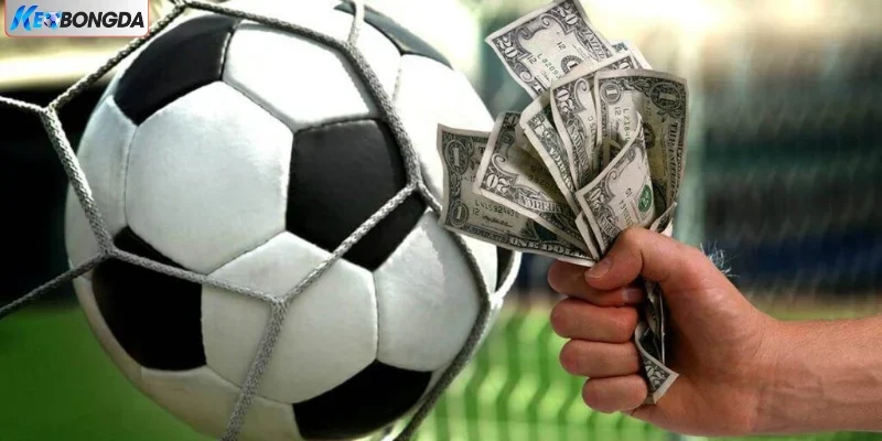 Bật Mí Mẹo Chơi Kèo Chấp 0.25 Chinh Phục Thưởng Lớn 2025