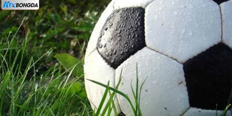 Top 4 Mẹo Chơi Kèo Chấp 0.5 Nhận Siêu Thưởng Cùng Cao Thủ