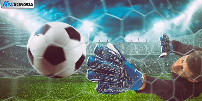 Luôn quan sát kỹ trận bóng Luôn quan sát kỹ trận bóng